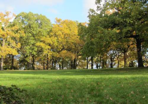 Grangewood Park