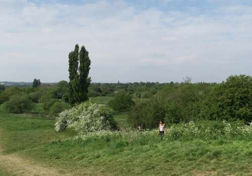 South Norwood Country Park
