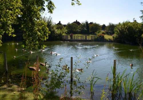 Waddon Ponds
