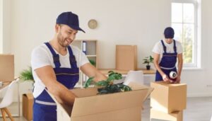 Where to Find Reliable Man with a Van Services in Portugal