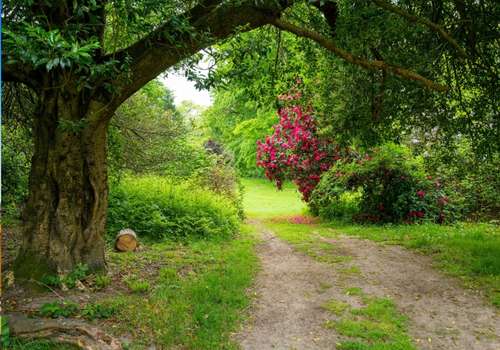 English Garden
