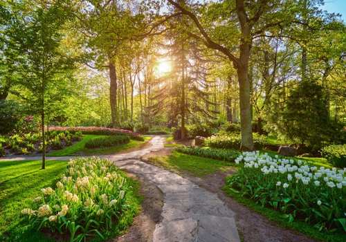 Keukenhof
