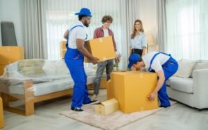 Why Hire a Professional Removal Service in Switzerland?