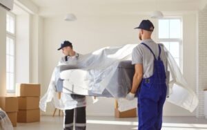 Why Hire a Professional Removal Service in Switzerland?