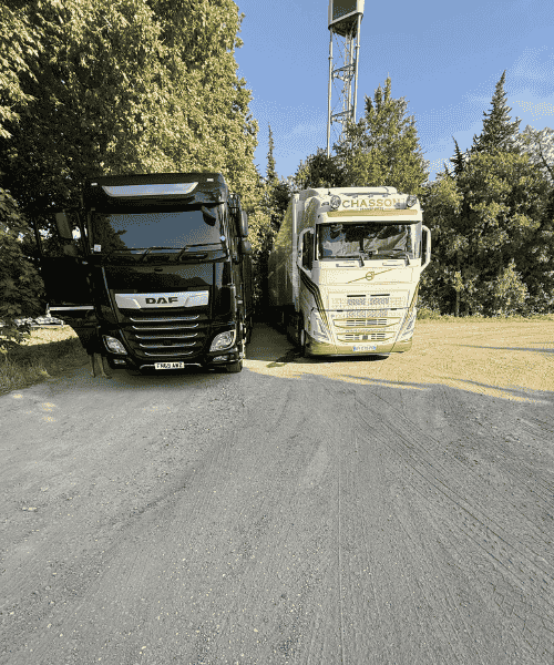 Cost-Effective Solutions for Relocating Abroad