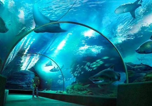 SEA LIFE Bangkok Ocean World